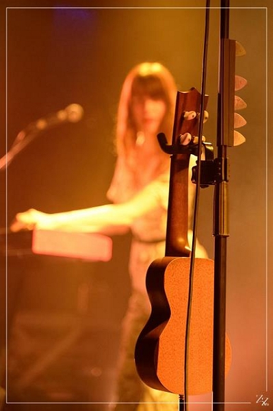 NIK_40714  Cocoon 24-03-2017 (Zz) (p).jpg